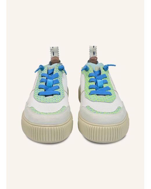 CRICKIT Blue Sneaker OAKLI