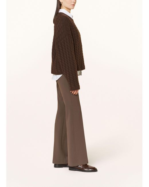 Cambio Brown Hose FARAH