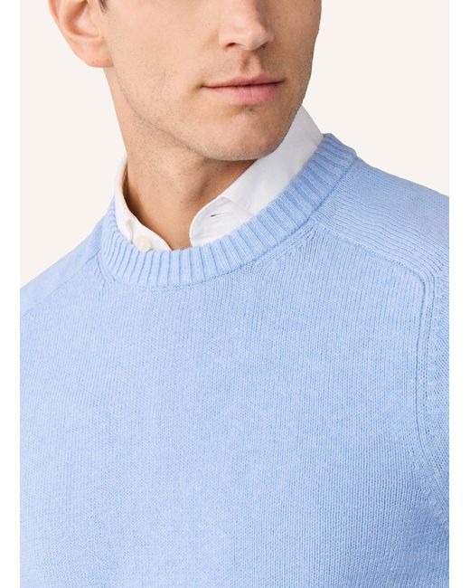 Hackett Pullover SADDLE CREW in Blue für Herren