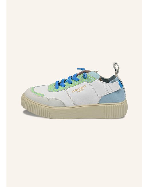 CRICKIT Blue Sneaker OAKLI