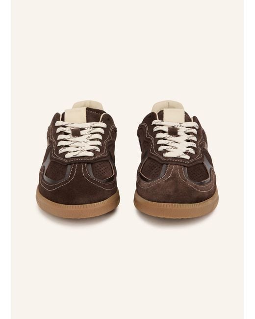 Alohas Brown Sneaker TB.490