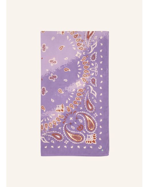 Codello Purple Tuch