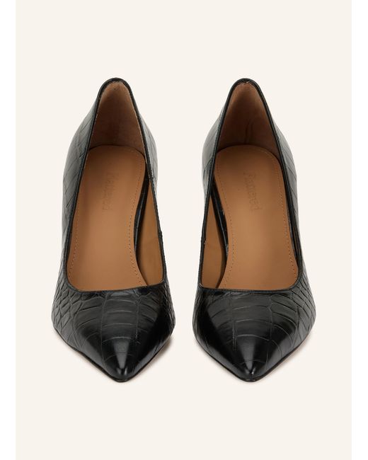 Flattered Black Pumps
