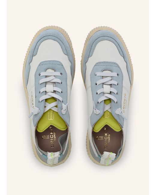 CRICKIT Blue Sneaker OAKLI