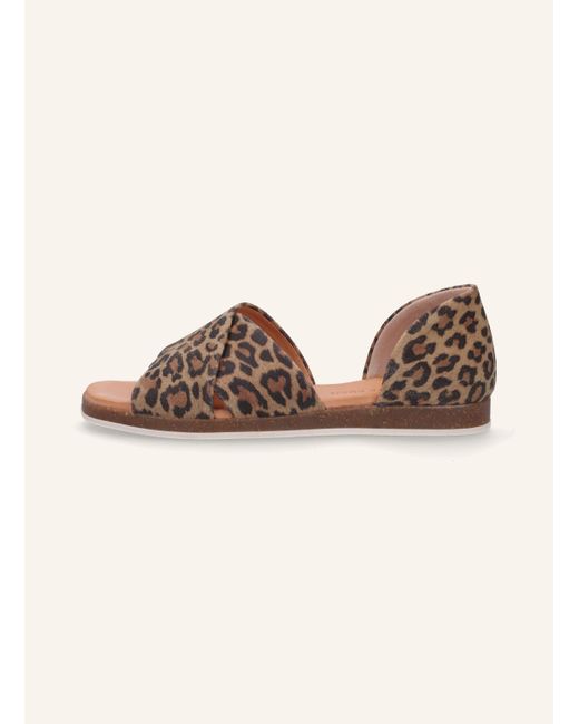 Apple Of Eden Brown Sandalen