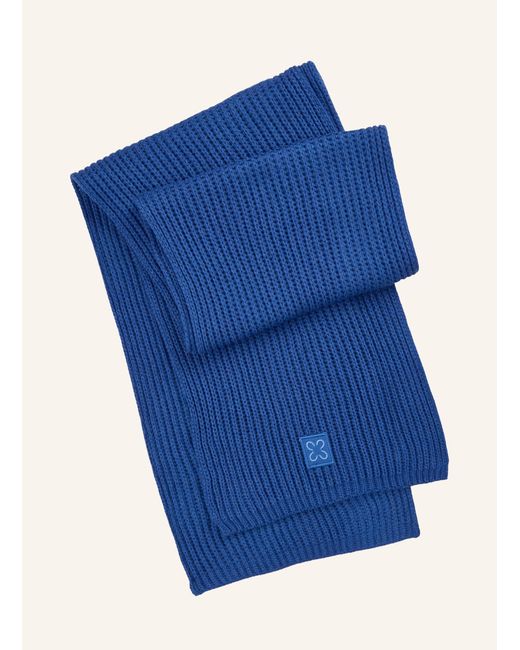 Codello Blue Schal