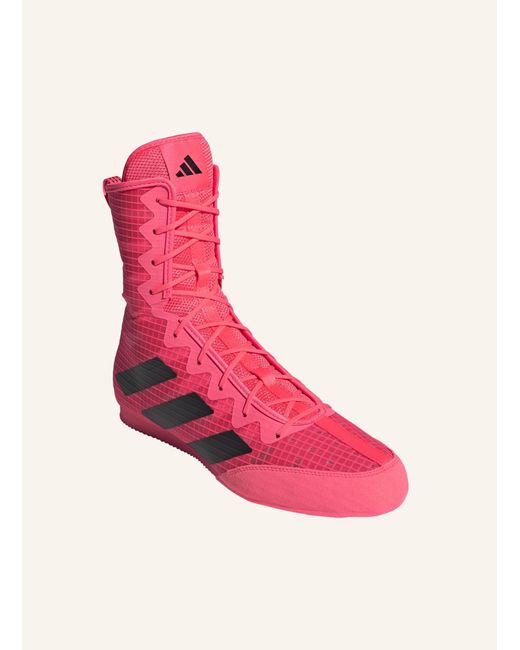 Adidas Pink BOX HOG 4 BOXSCHUH
