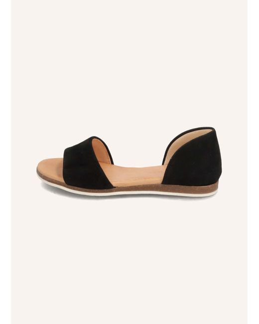 Apple Of Eden Multicolor Sandalen