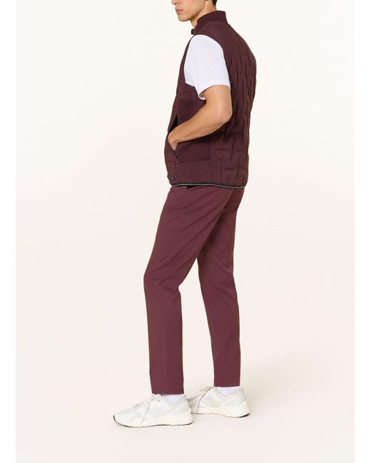 Bogner Golfhose ANJO2 in Purple für Herren