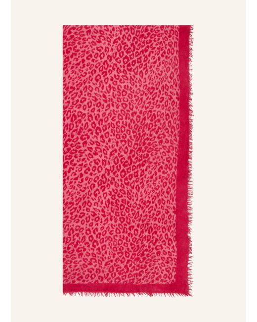 Mouleta Pink Cashmere-Schal