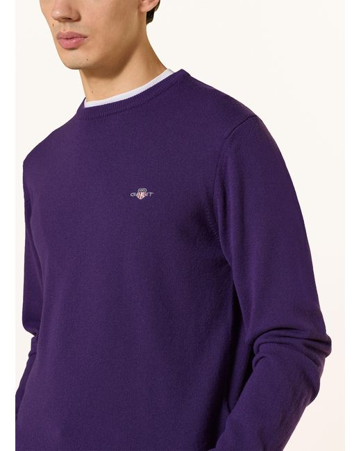 Gant Pullover in Purple für Herren