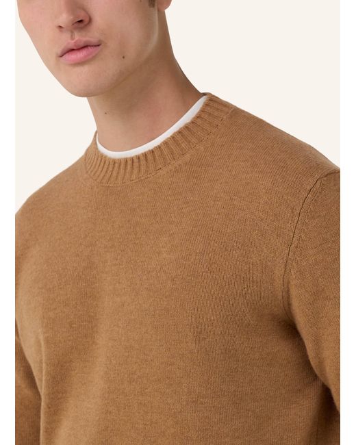 Boggi Pullover in Brown für Herren