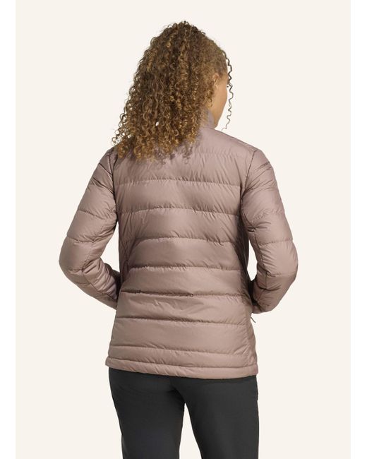 Adidas Originals Brown TERREX MULTI LIGHT DOWN CLIMAWARM JACKE