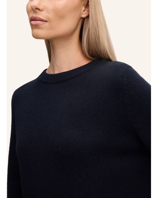 Windsor. Blue Pullover