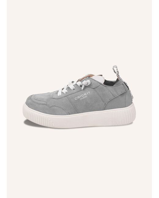 CRICKIT Gray Sneaker OAKLI