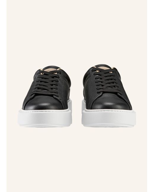 Aigner Sneaker WILLIAM 10A in Black für Herren
