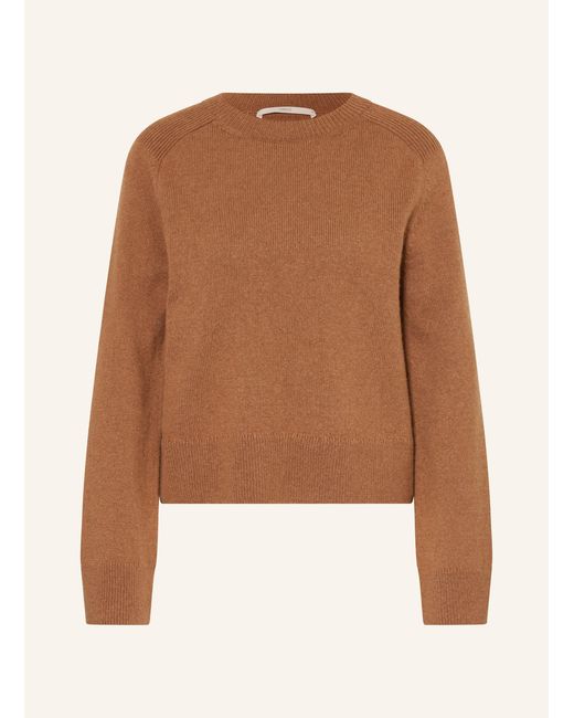 Lanius Brown Pullover