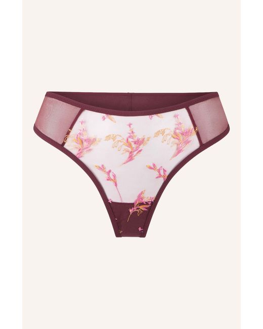 Lingadore Pink String
