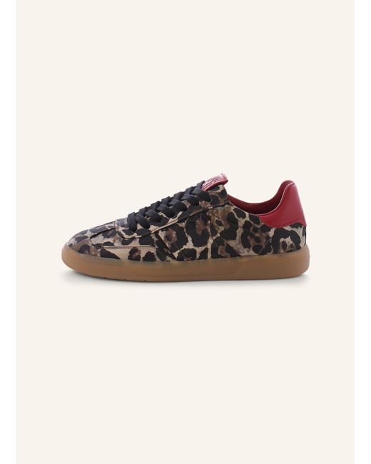 Kennel & Schmenger Brown Sneaker POP