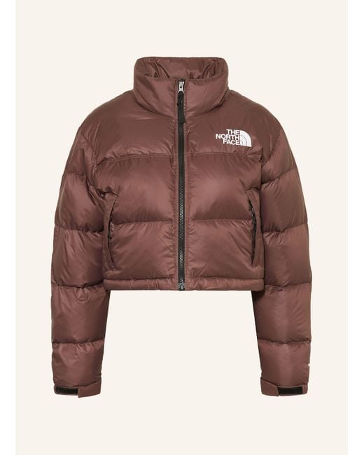 The North Face Brown Cropped-Daunenjacke