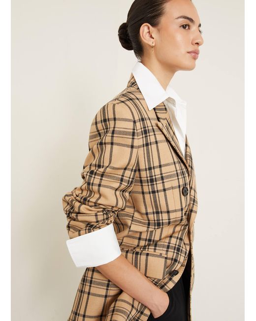 AMI Natural Longblazer