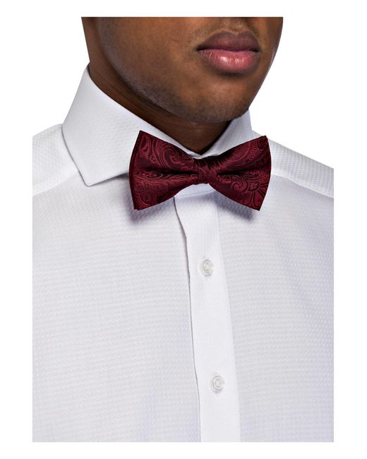 Olymp Fliege in Multicolor für Herren