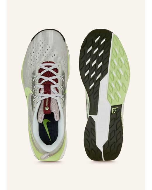 Nike Trailrunning-Schuhe REACTX PEGASUS TRAIL 5 in Gray für Herren