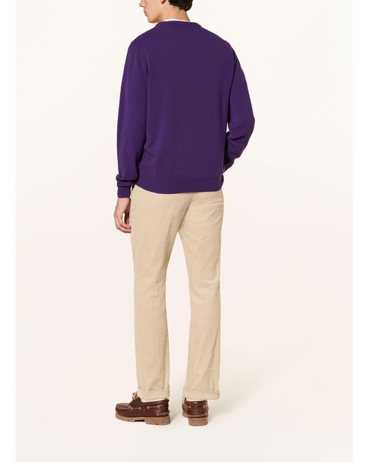 Gant Pullover in Purple für Herren