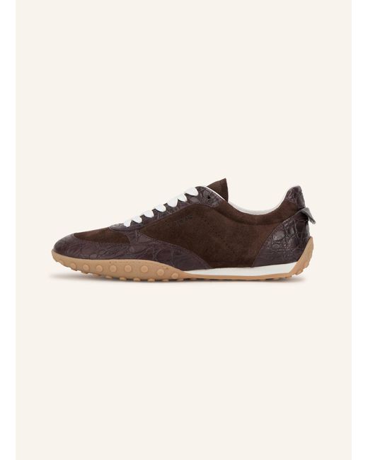 Tod's Brown Sneaker