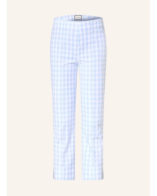 Seductive Blue 7/8-Hose