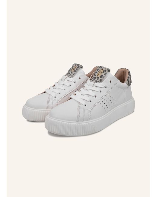 CRICKIT Gray Sneaker ORMA