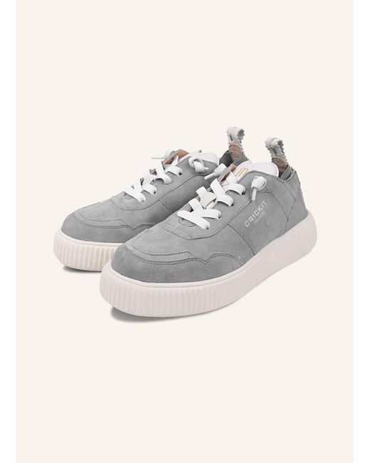 CRICKIT Gray Sneaker OAKLI