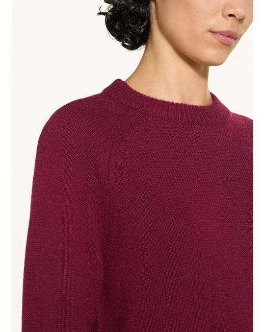 Alcidia da Veiga Red Pullover GILL mit Cashmere