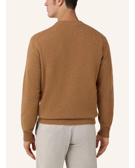 Boggi Pullover in Brown für Herren