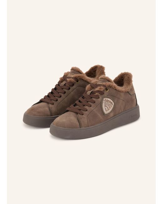 Blauer Brown Sneaker VICTORY01