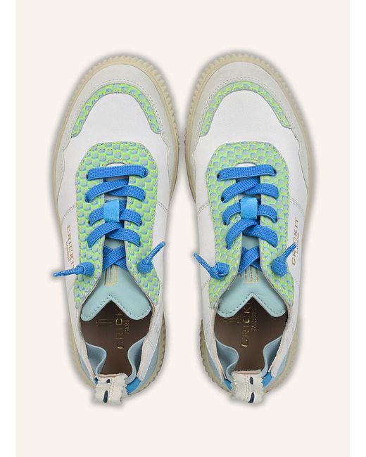 CRICKIT Blue Sneaker OAKLI