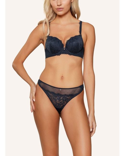 Lingadore Blue Up BH Push