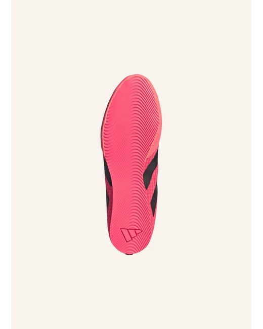 Adidas Pink BOX HOG 4 BOXSCHUH