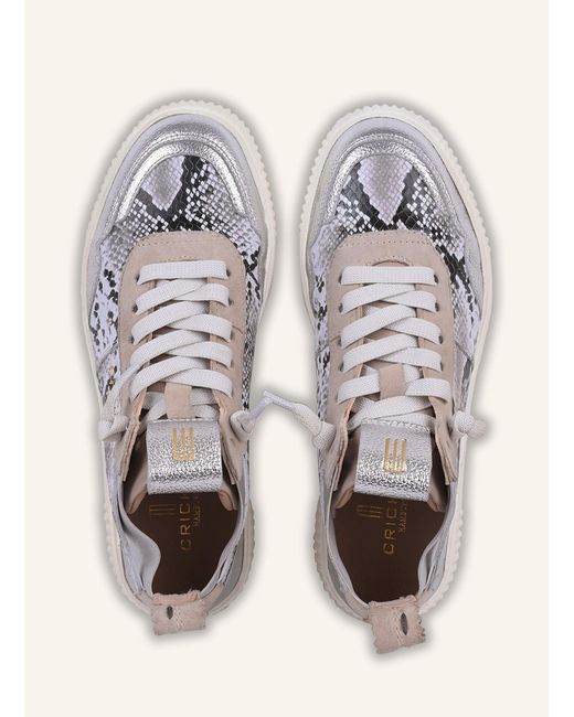CRICKIT Gray Sneaker REBEKA