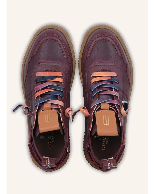 CRICKIT Red Sneaker UMA