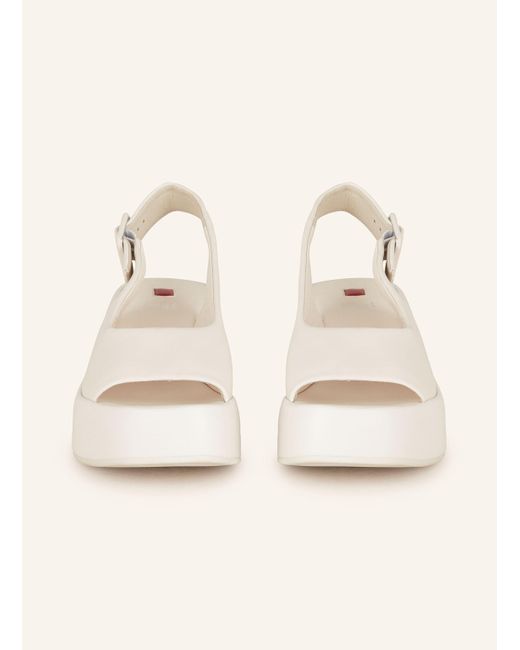 Högl Natural Plateau-Wedges
