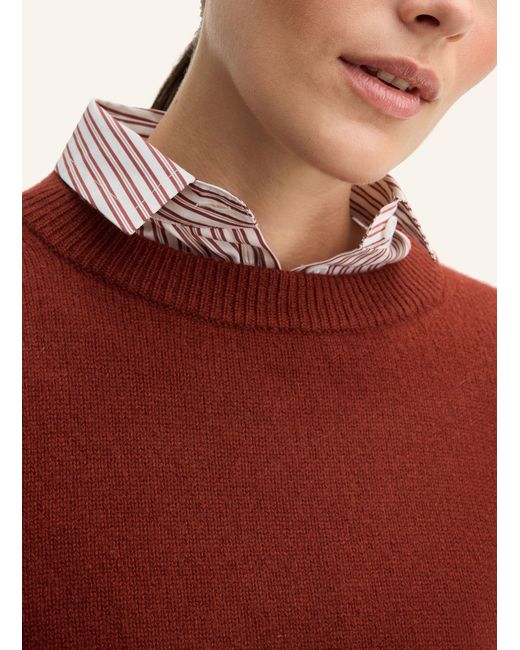 Windsor. Red Pullover