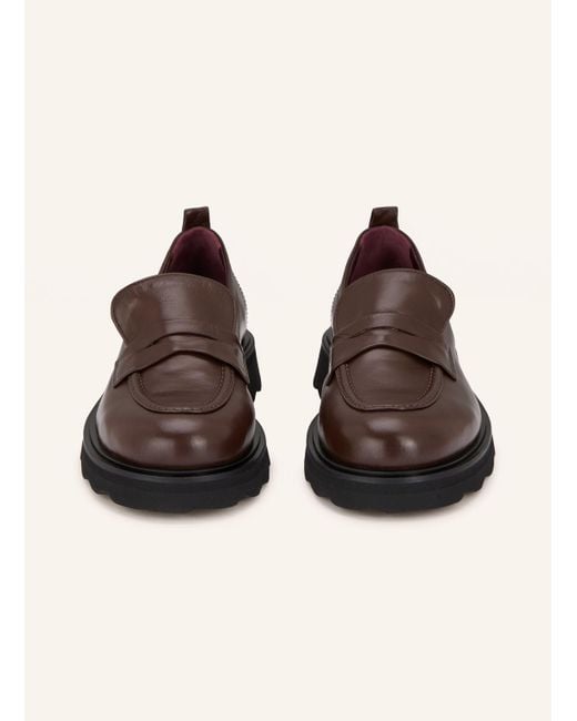 Pomme D'or Brown Penny-Loafer NICKY