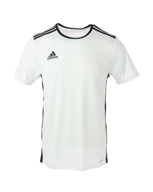 adidas Synthetic Tshirt in White for Men Lyst