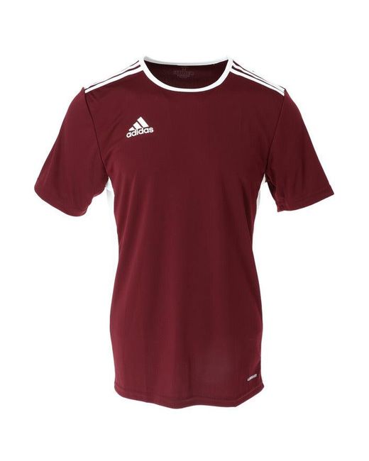 adidas Synthetic Men T-shirt in Bordeaux (Red) for Men - Save 59% | Lyst