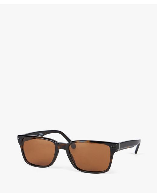 Brown Rectangle Sunglasses di Brooks Brothers in White da Uomo