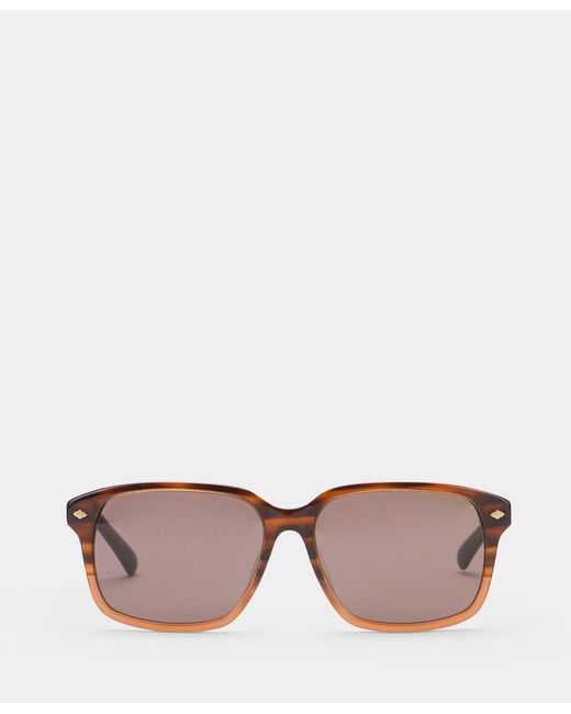 Brooks Brothers Pink Havana Sunglasses for men