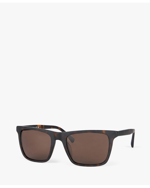 Brown Square Sunglasses di Brooks Brothers in Gray da Uomo
