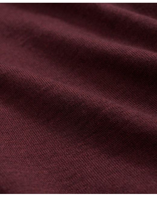 Brooks Brothers Purple Big & Tall Fine Merino Wool V-neck Sweater for men