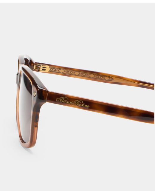 Brooks Brothers Pink Havana Sunglasses for men
